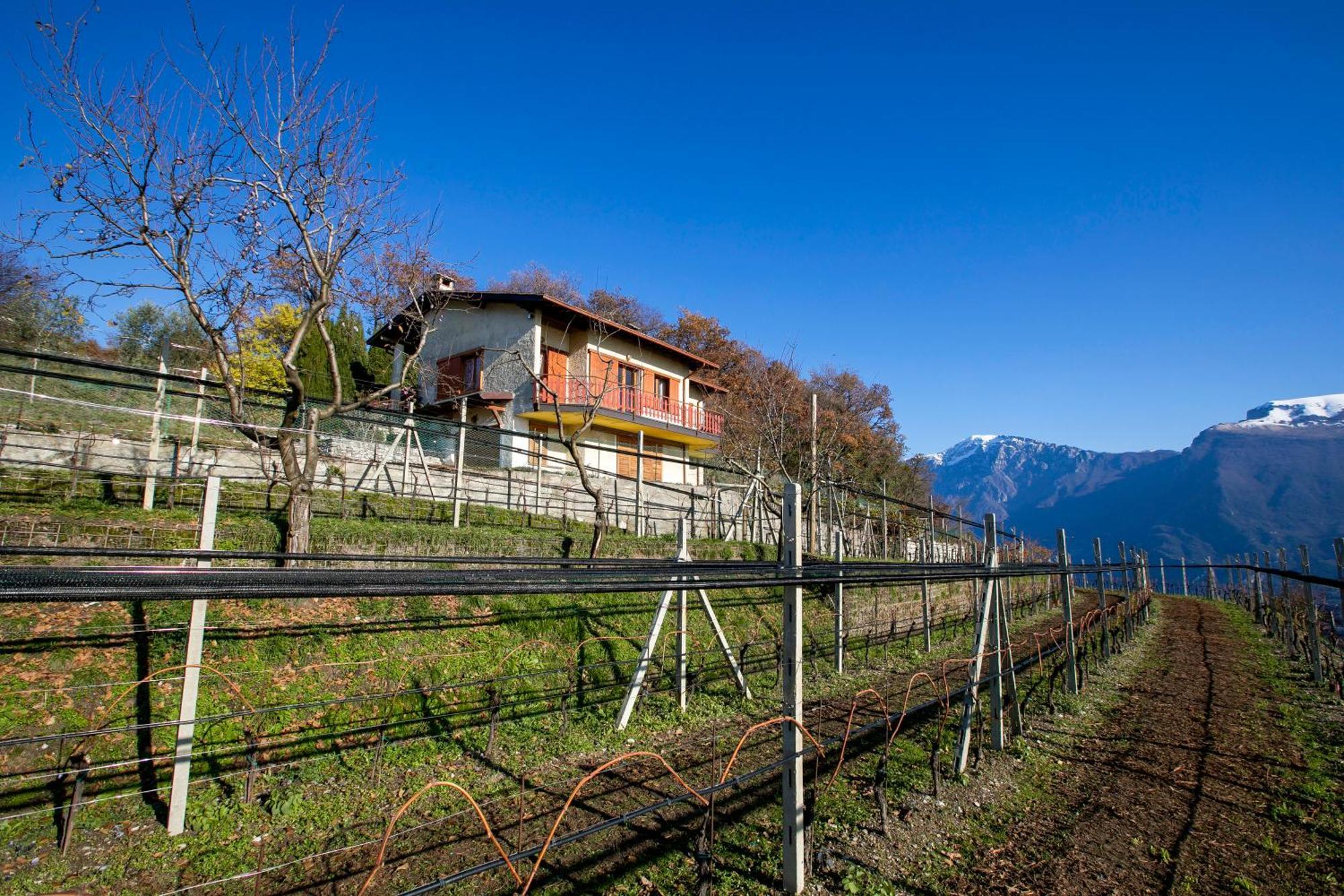 Balcone Panoramico Sul Garda - Happy Rentals Tremosine Exterior foto